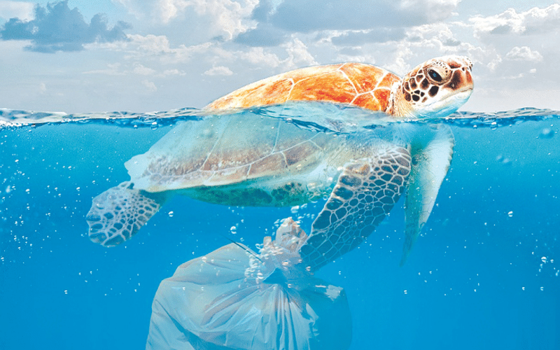 Global Plastics Treaty — too close yet too far